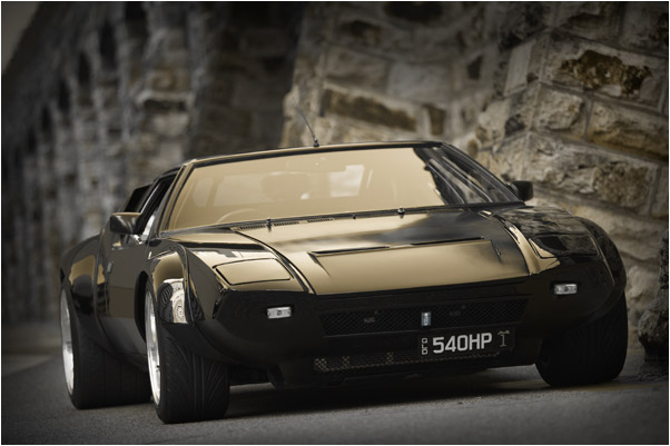 Pantera at the stone wall
